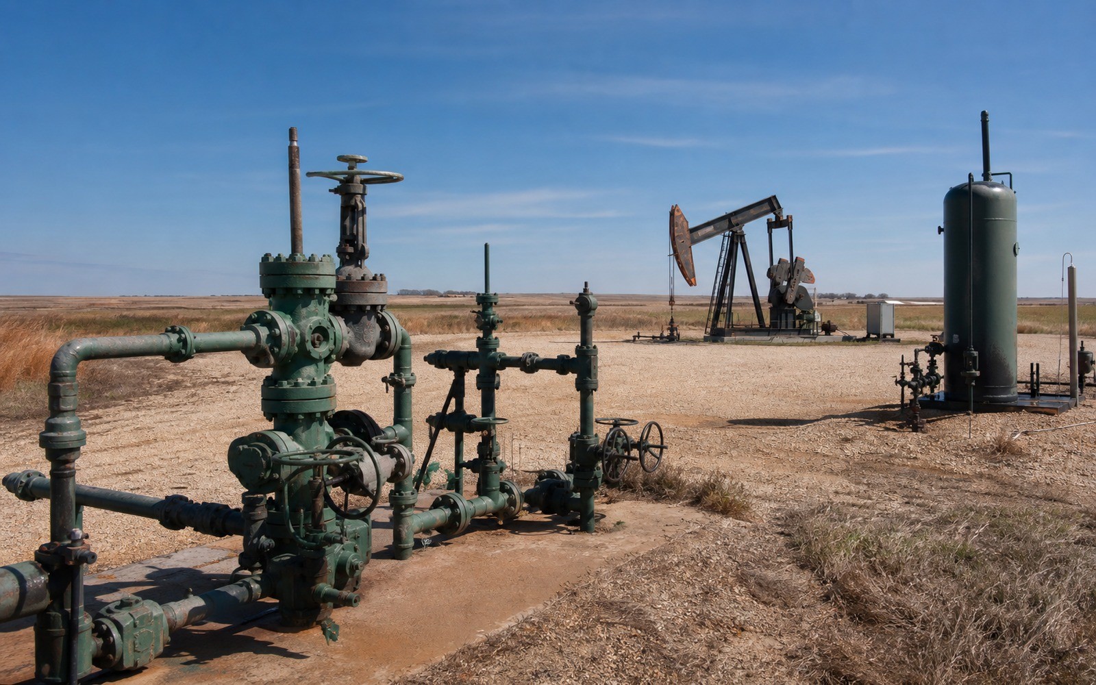 Cash Flow vs. Long-Term Value