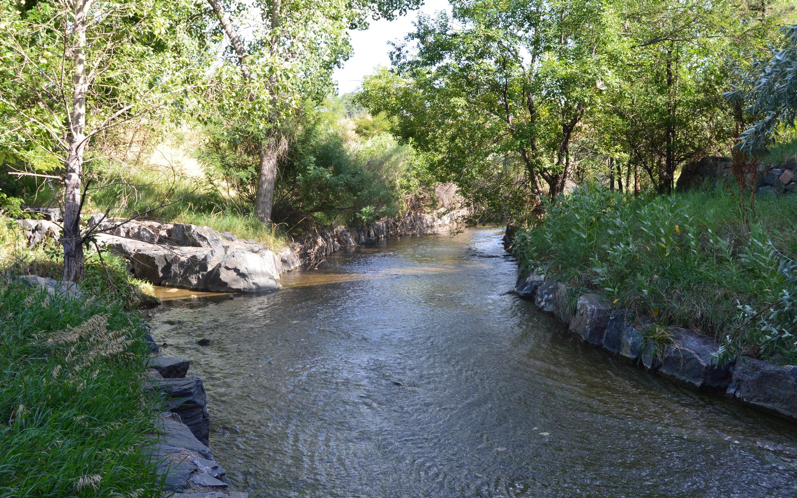 Sell Mineral Rights in Arapahoe County, CO