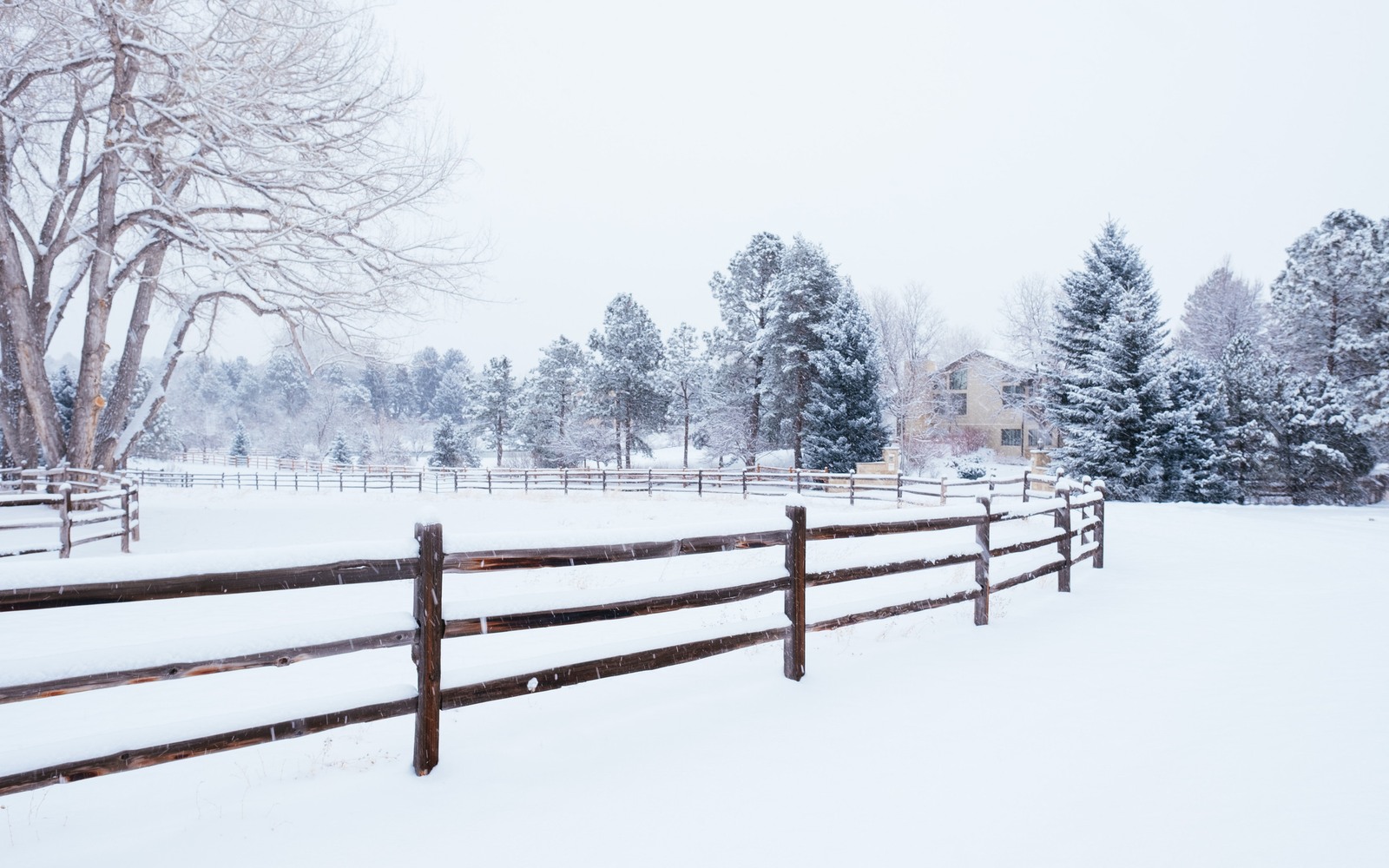 Sell Mineral Rights in Cherry Hills Village, CO