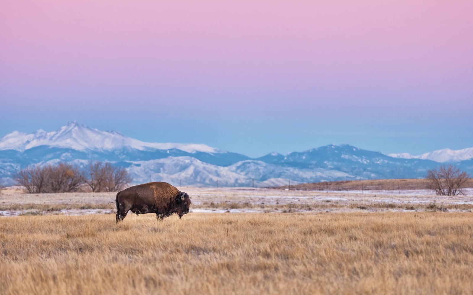 Sell Mineral Rights in Commerce City, CO