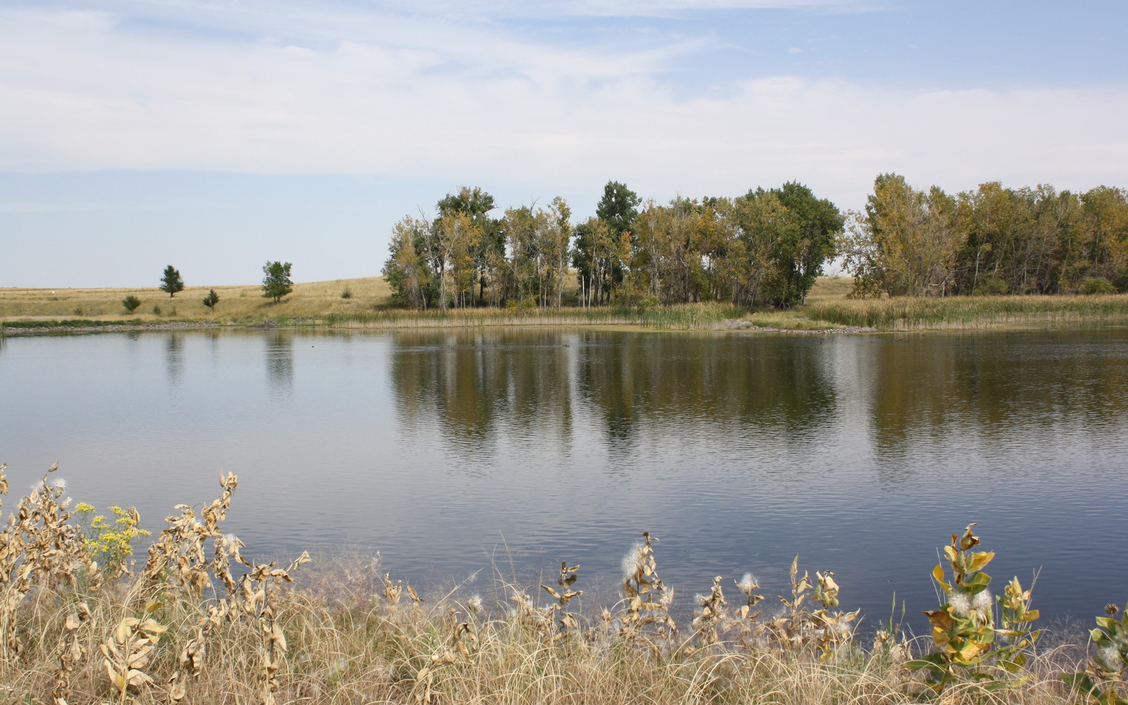 Sell Mineral Rights in Derby, CO
