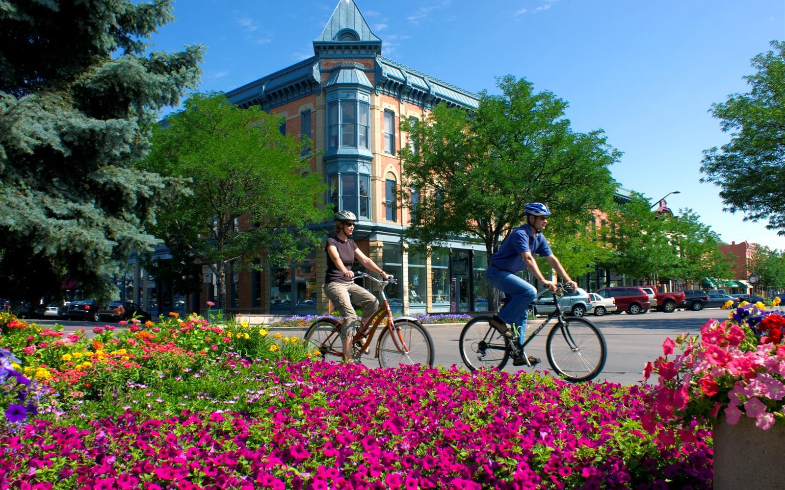 Sell Mineral Rights in Fort Collins, CO