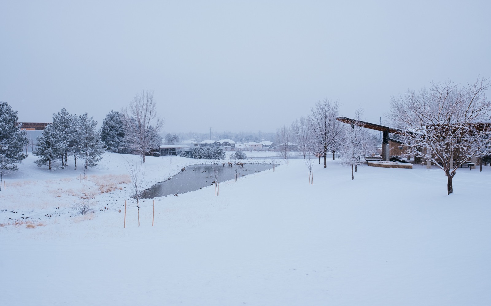 Sell Mineral Rights in Greenwood Village, CO