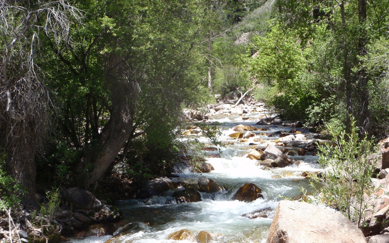 Sell Mineral Rights in No Name, CO