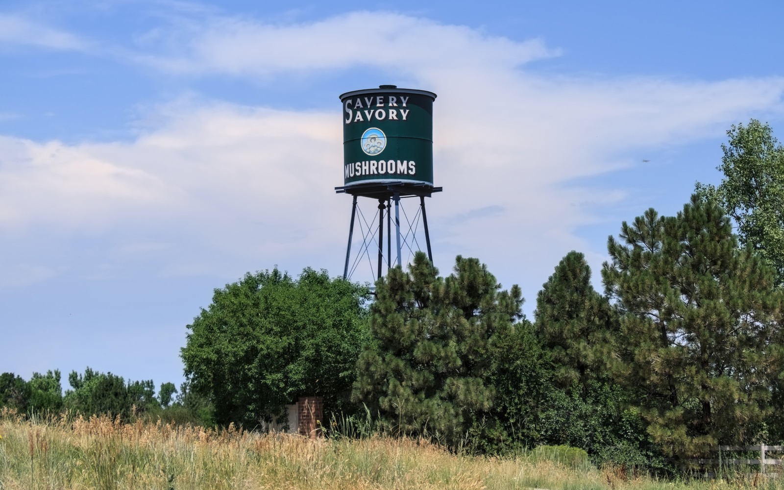 Sell Mineral Rights in Northglenn, CO