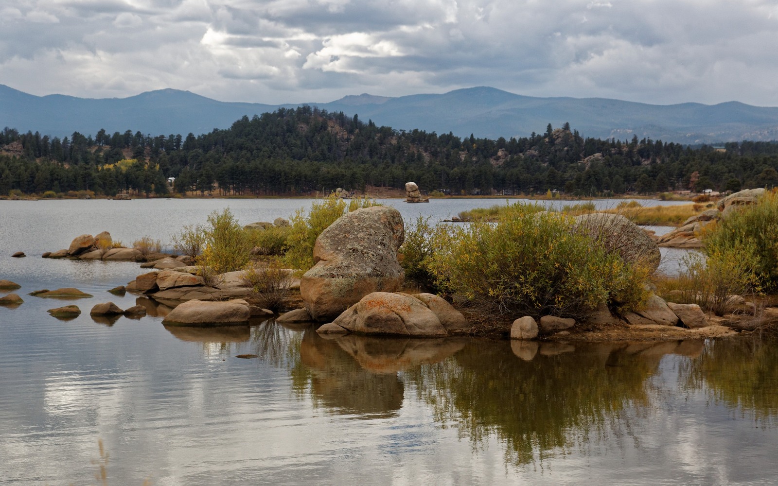 Sell Mineral Rights in Red Feather Lakes, CO