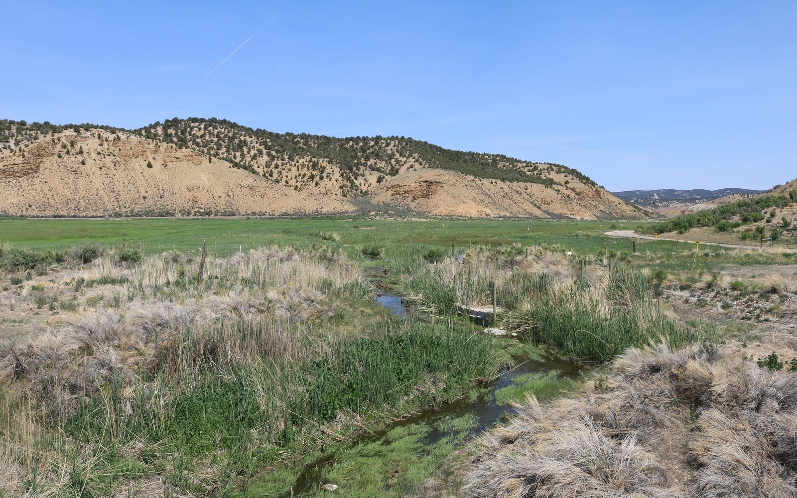 Sell Mineral Rights in Rio Blanco County, CO