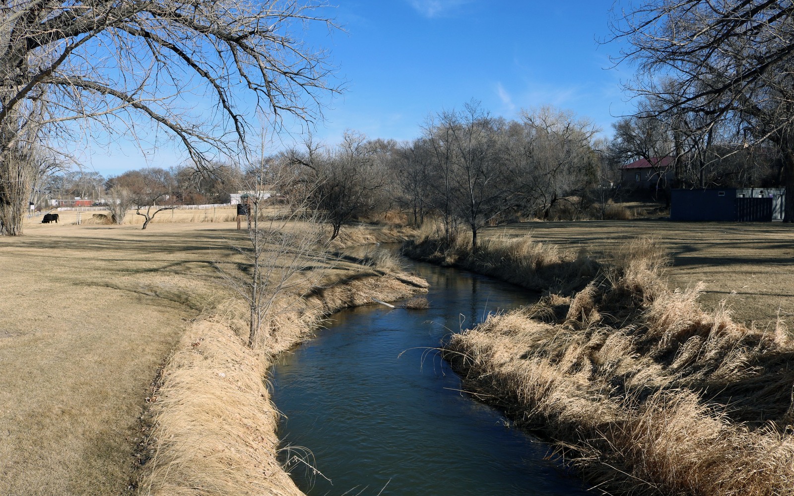 Sell Mineral Rights in Wray, CO