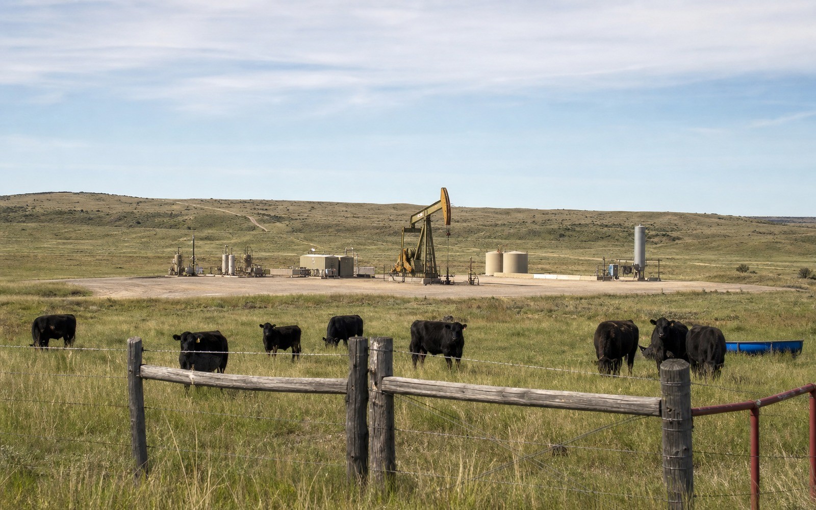 Sell Mineral Rights in Colorado